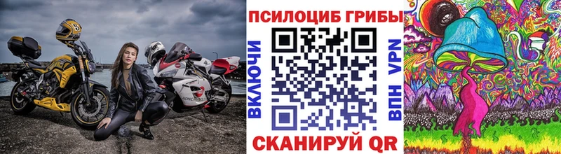 Галлюциногенные грибы мицелий Красный Кут
